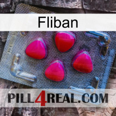 Fliban 13